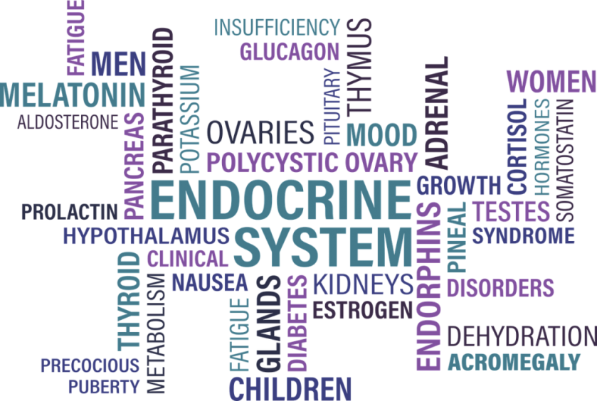 endocrine.disrupturs.png